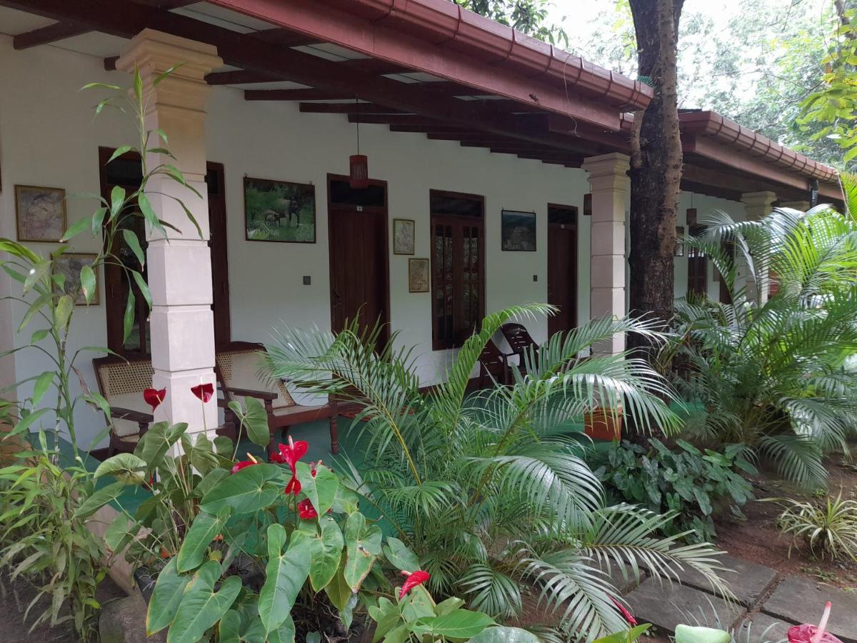 Sigiri Jungle Villa 시기리야 외부 사진
