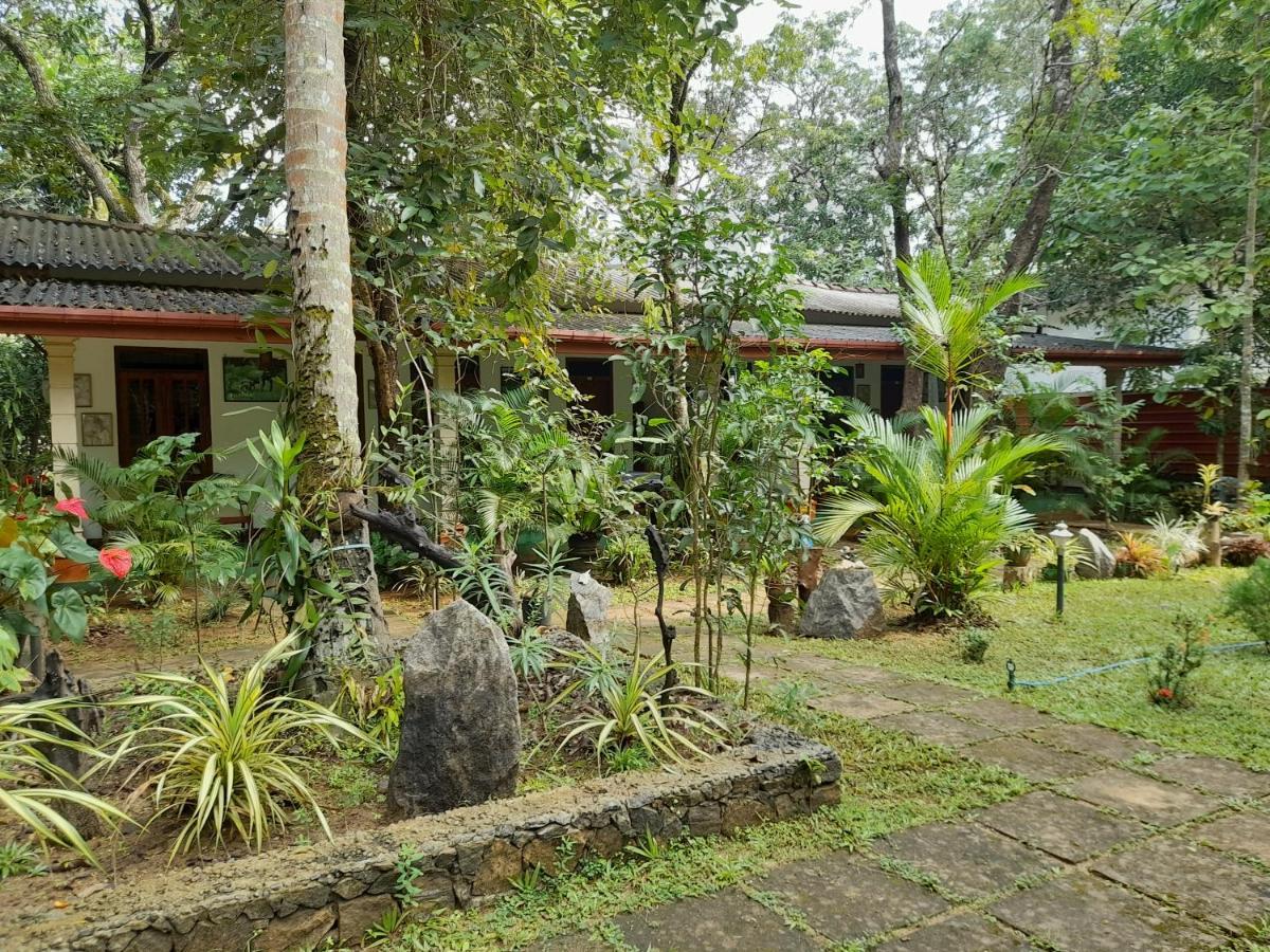 Sigiri Jungle Villa 시기리야 외부 사진