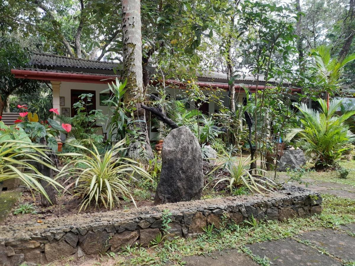 Sigiri Jungle Villa 시기리야 외부 사진