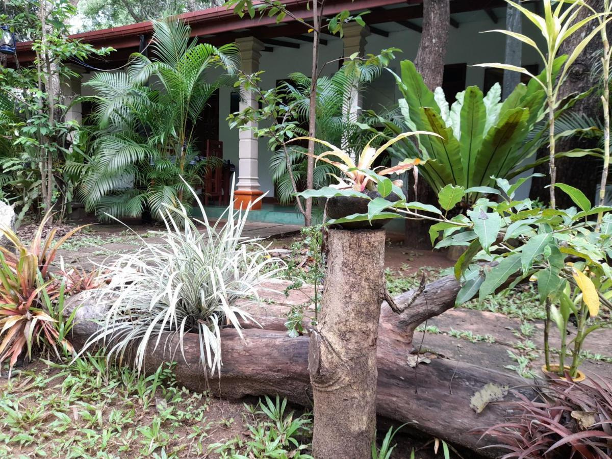 Sigiri Jungle Villa 시기리야 외부 사진
