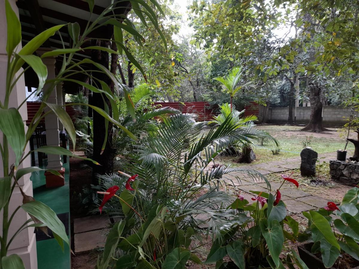 Sigiri Jungle Villa 시기리야 외부 사진