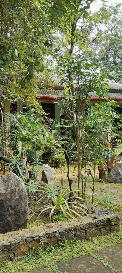 Sigiri Jungle Villa 시기리야 외부 사진