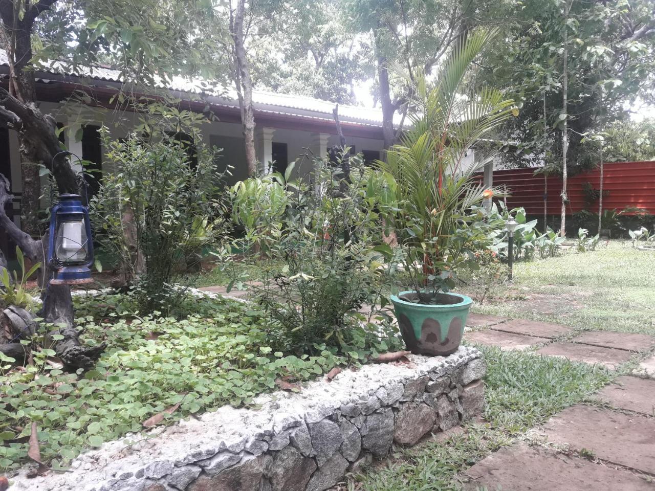 Sigiri Jungle Villa 시기리야 외부 사진